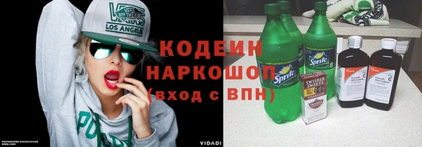 ECSTASY Пересвет