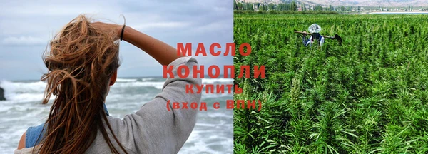 ECSTASY Пересвет