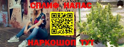 твердый Краснознаменск