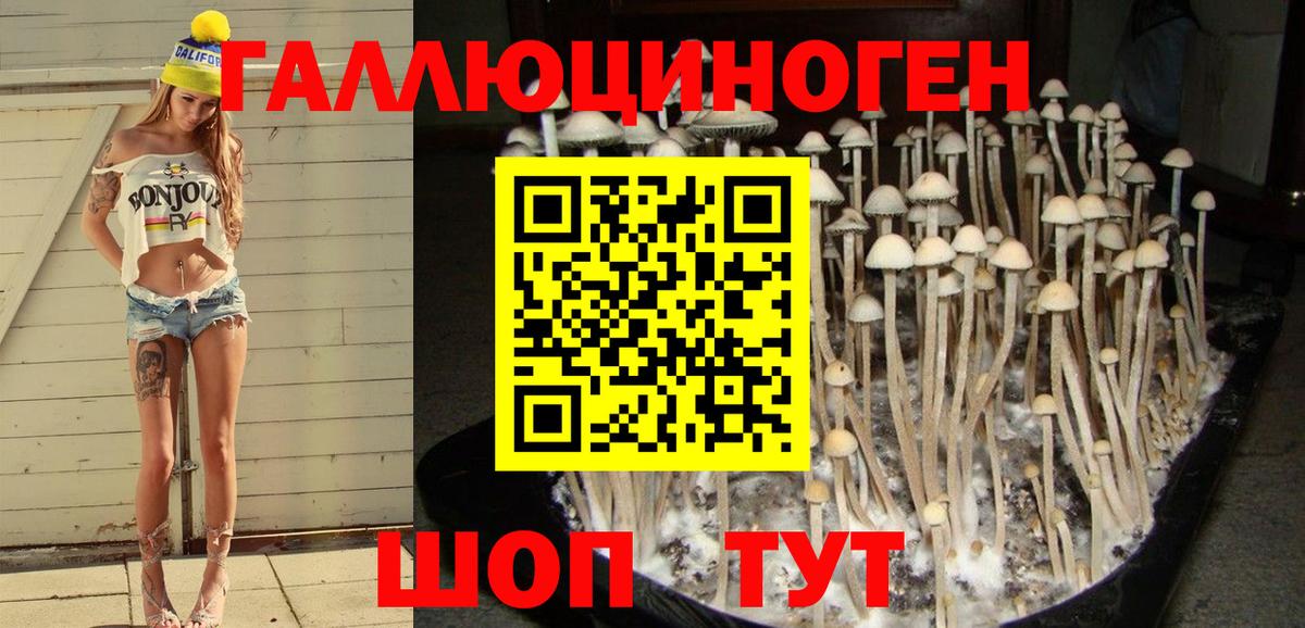 Галлюциногенные грибы ЛСД  Вход с VPN  дарнет шоп  Кубинка  Псилоцибиновые грибы мицелий 
